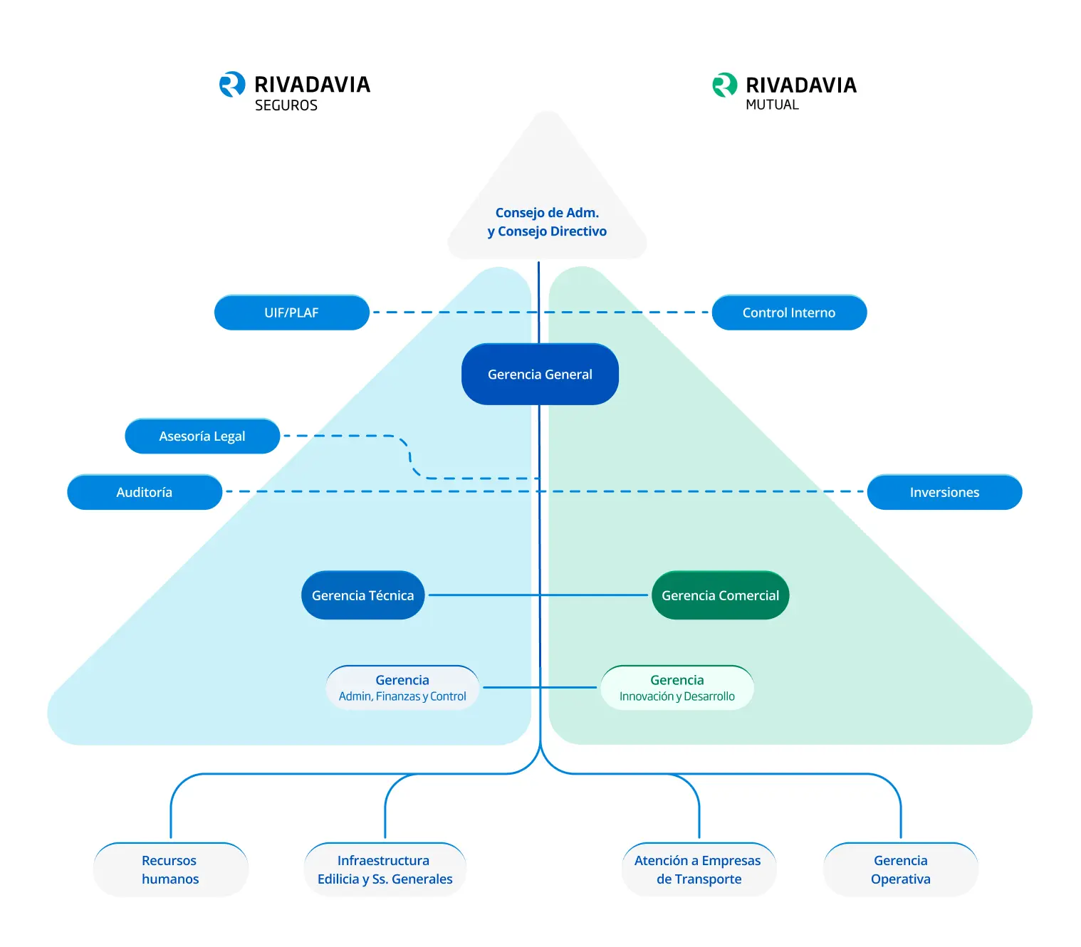Organigrama